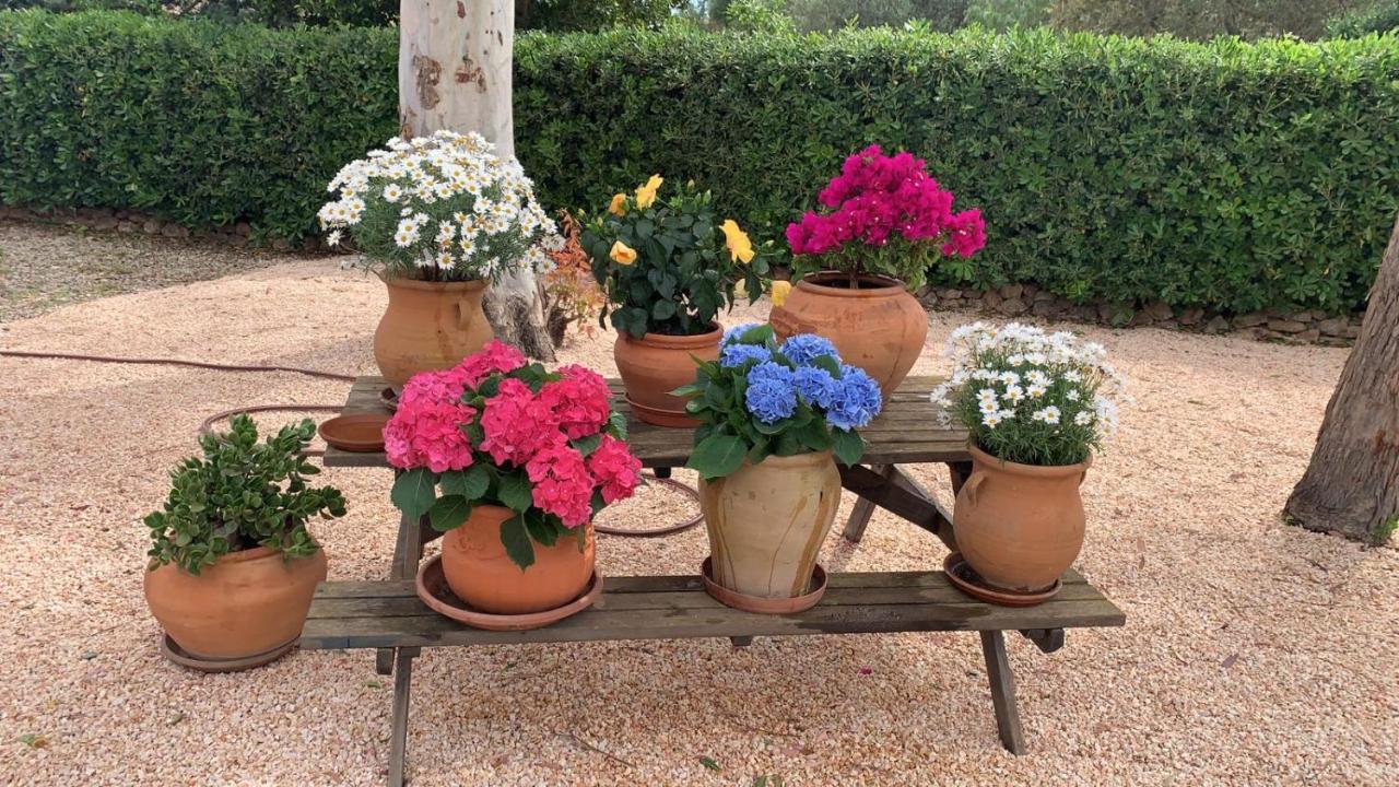 Villa Kentia Mallorca, Charming And Stylish Country House Close To Palma Exterior foto